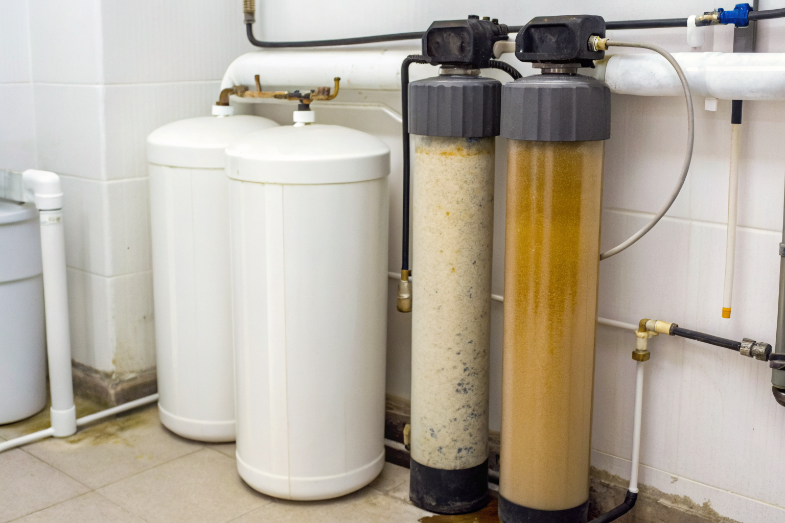 Bacteria colonizing a water softener resin environment.